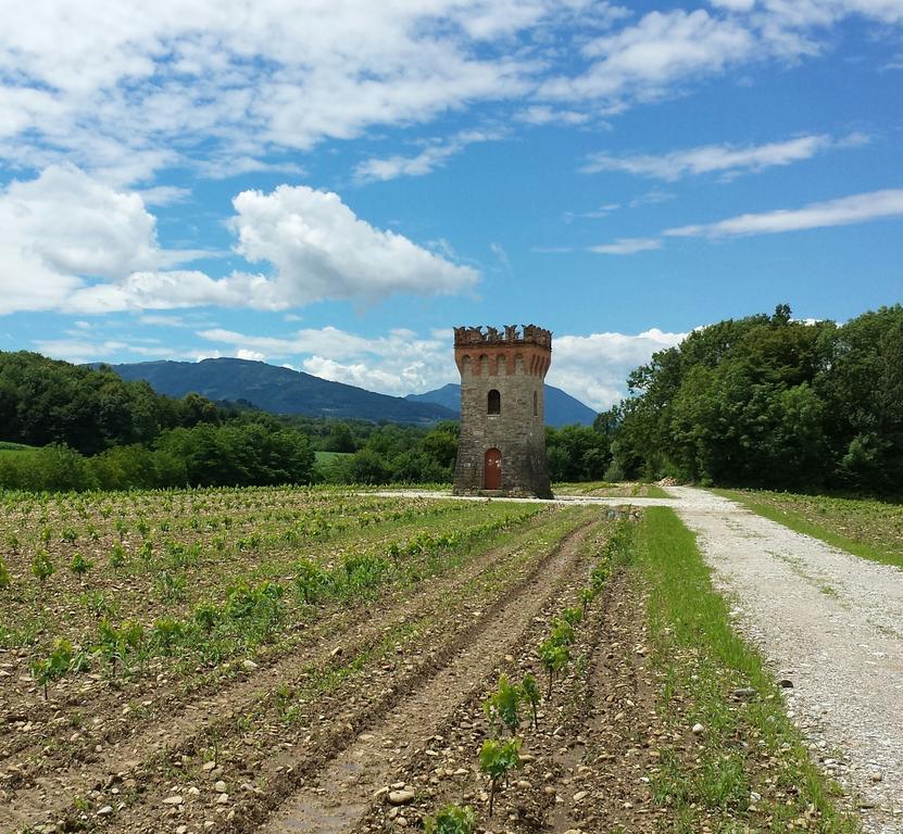 Trichiana Agriturismo Casteldardoゲストハウス エクステリア 写真