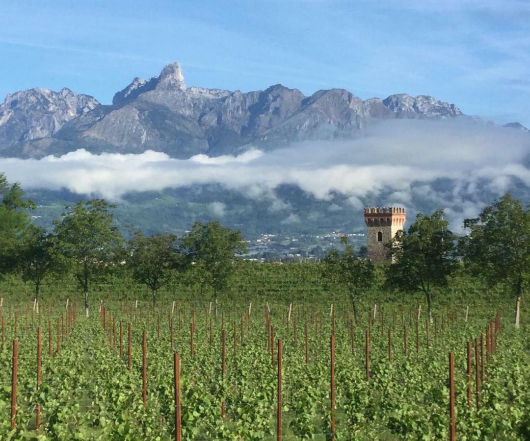 Trichiana Agriturismo Casteldardoゲストハウス エクステリア 写真