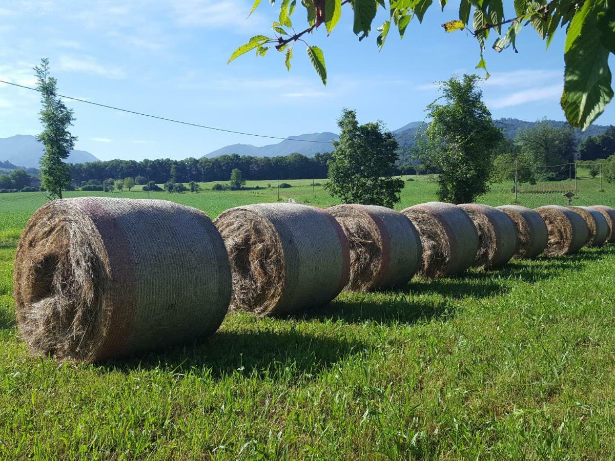 Trichiana Agriturismo Casteldardoゲストハウス エクステリア 写真